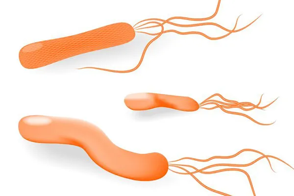 胃の病気の発症リスクを下げられます